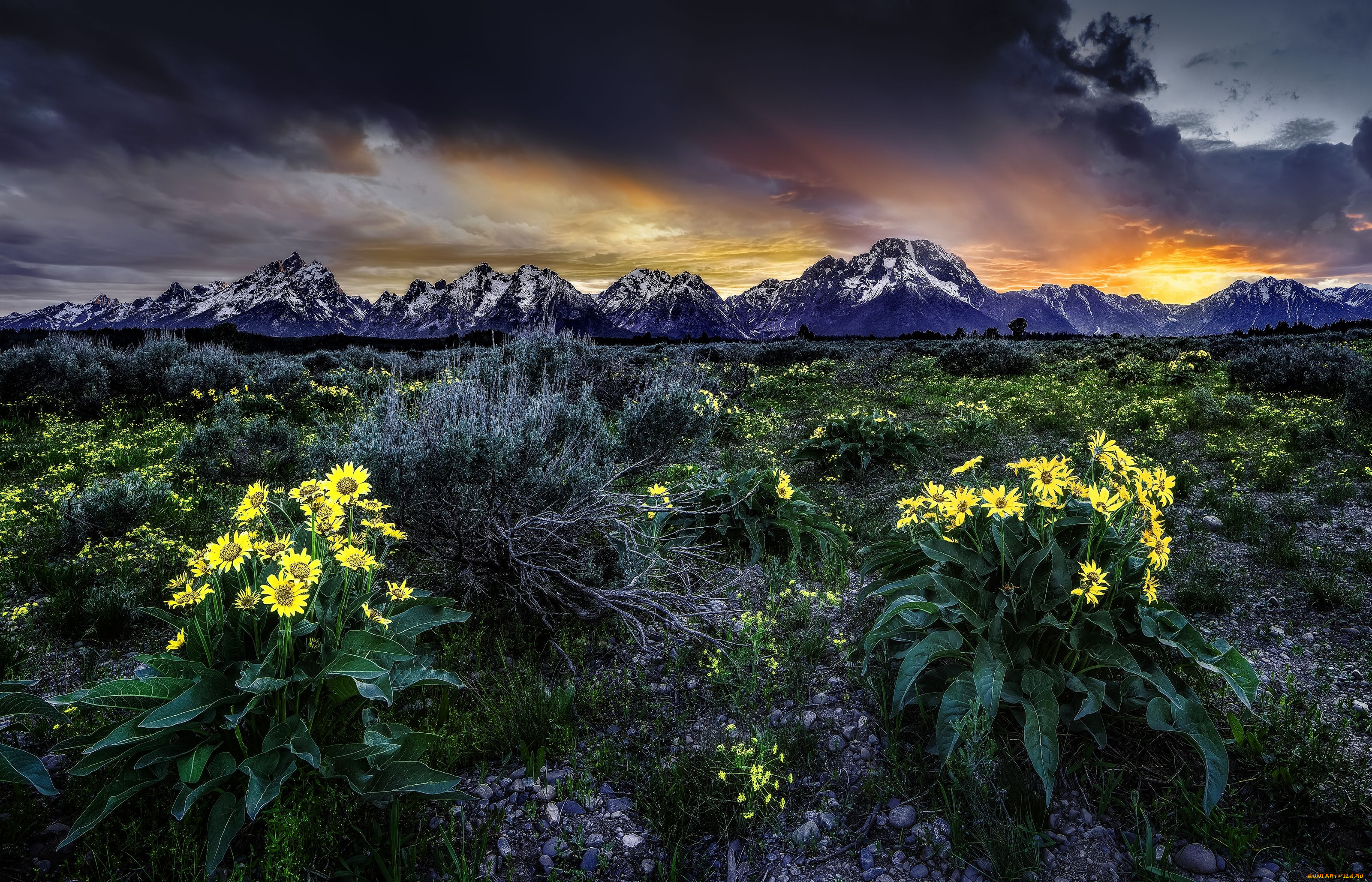 rocky, mountains, grand, teton, national, park, wyoming, , , , , , , , , , -, , 